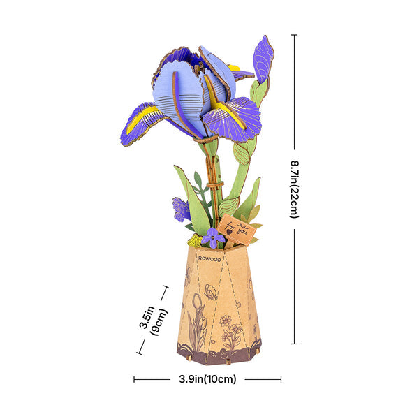 Purple Iris montado con las dimensiones señaladas.