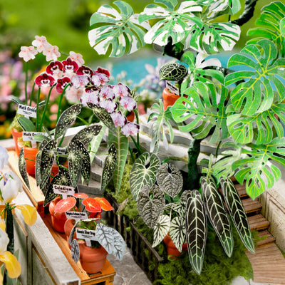 Detalle de las hojas, flores y macetas en miniatura de Oxygen Oasis.