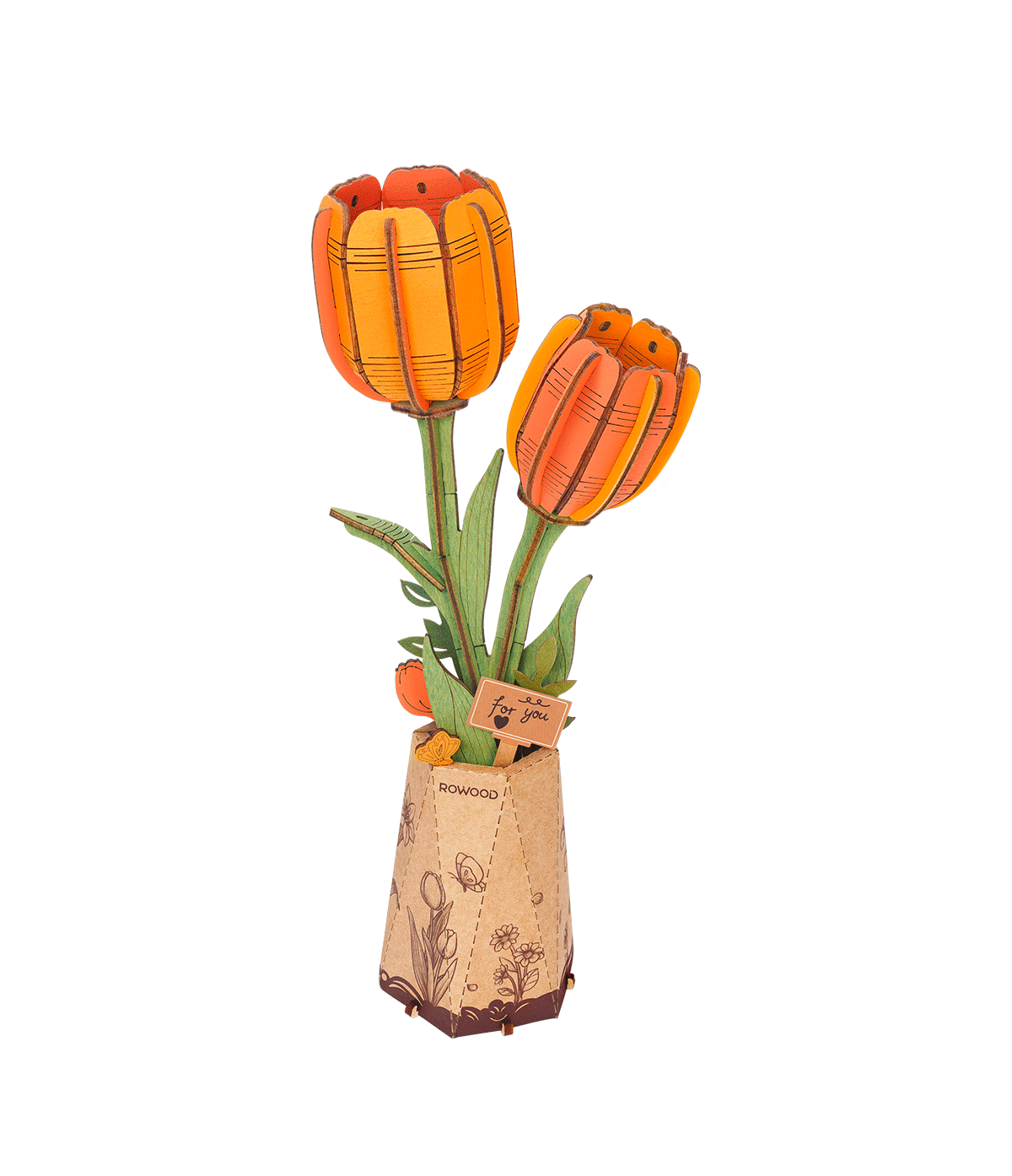 Orange Tulip completo con dos flores naranjas sobre fondo blanco.