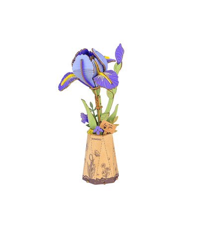 Purple Iris completo con su flor morada sobre fondo blanco.