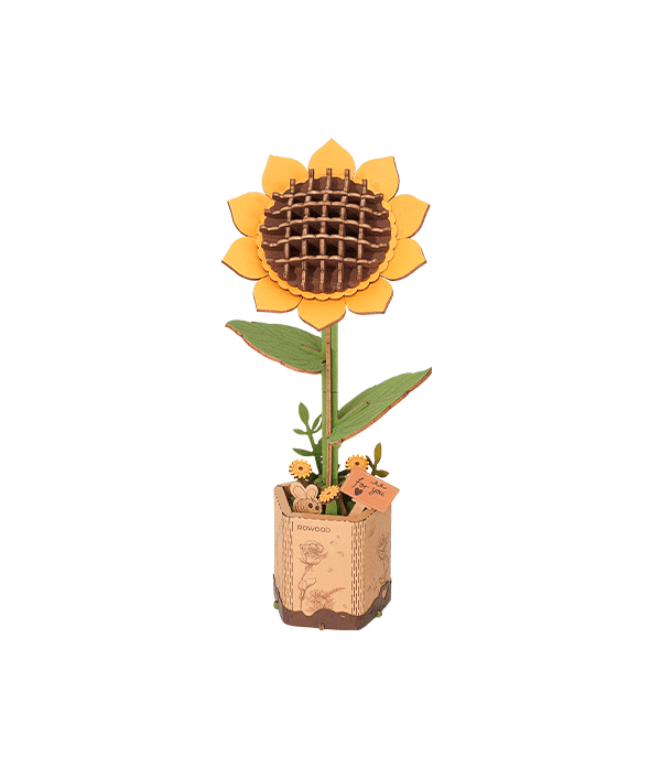 
Girasol Sunflower completo sobre fondo blanco · Rowood