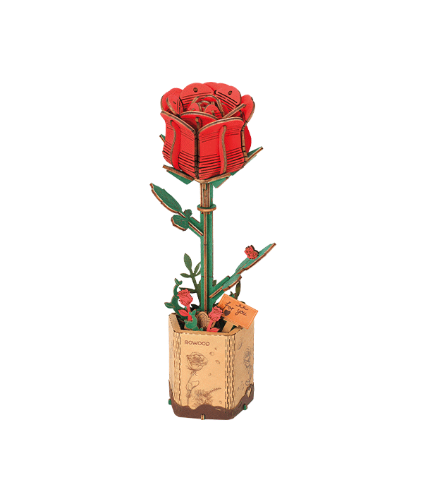 
Red Rose completa sobre fondo blanco · Rowood
